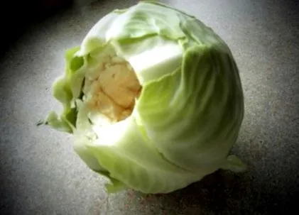 varză