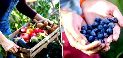 продажбите продажбите