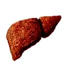 simptomele hepatitei