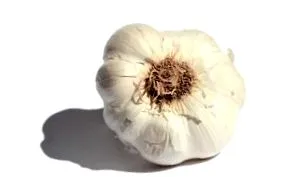 curățarea vaselor curățarea vaselor