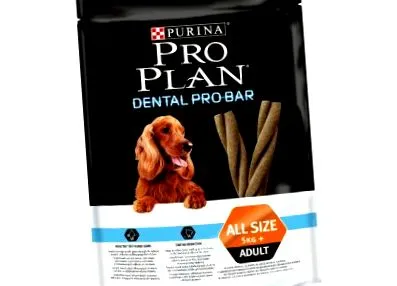 planul