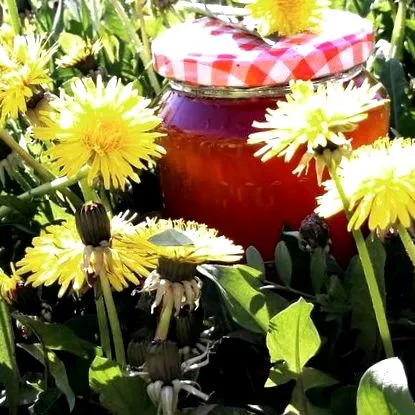 esorg officinale