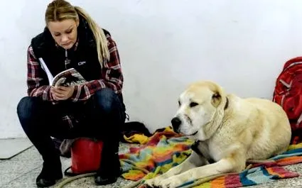 továbbra