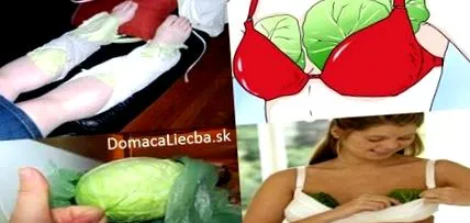 csatlakoztassa