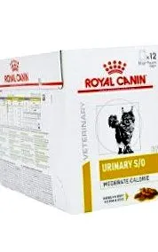 feline royal