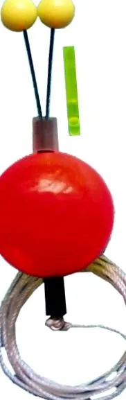 semnalizare
