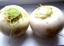 rețete