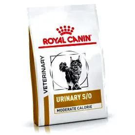 royal royal