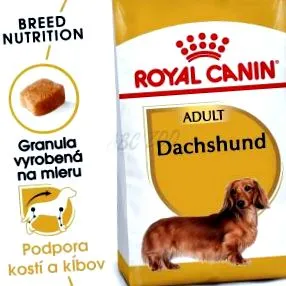 дакел