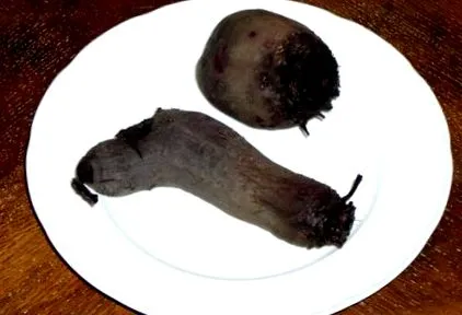 rețete paste