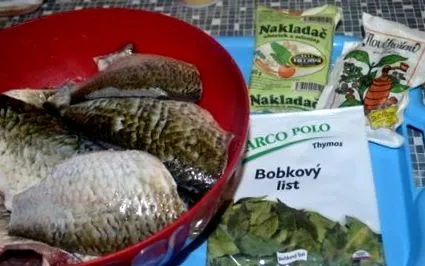 foto foto