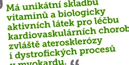 plantă aproape