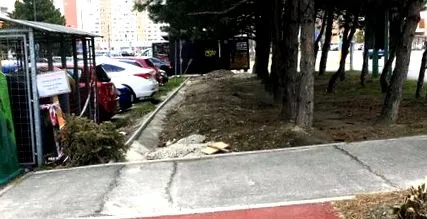 нашата