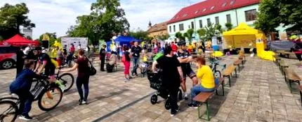 experiență