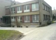 primară