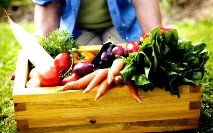 după dietetice