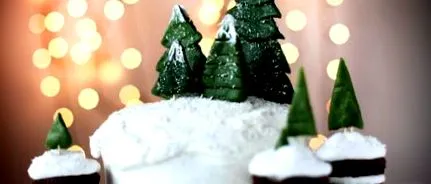 fructe tort