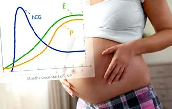 hormonul