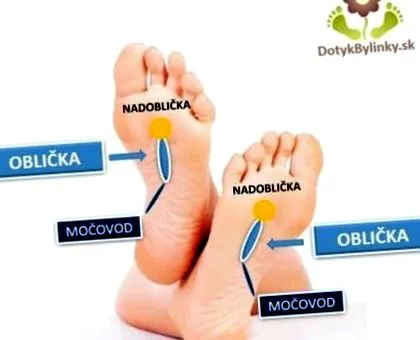 през зимата