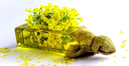 grăsimile sunt
