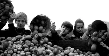 astăzi fără