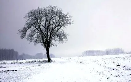 раждането