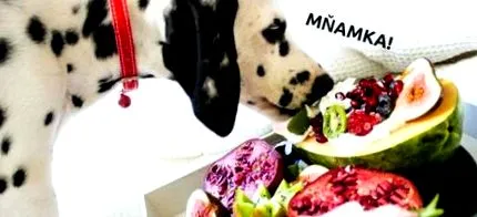 mâncare