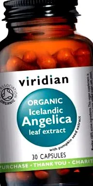 angelica viridian