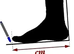 graficul mărimilor