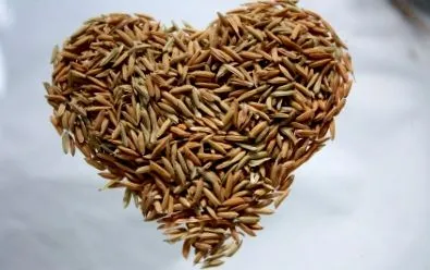 vitamine