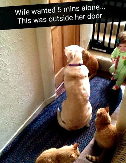 când când