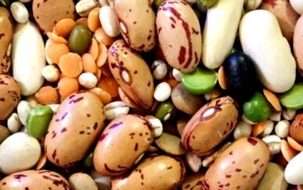 fructe legume