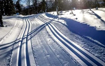 pârtii suedia