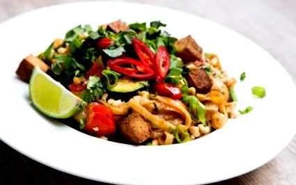 vegan vegan