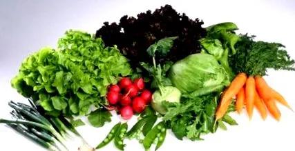 acid folic