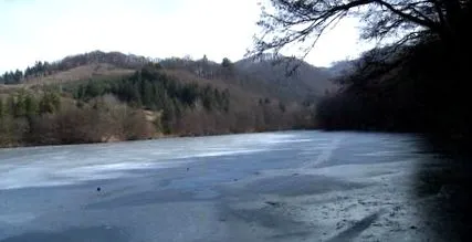 pentru halčianska