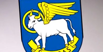 candidaților alegeri