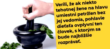 tudja nemét