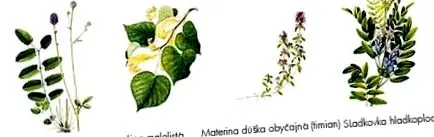 виронал