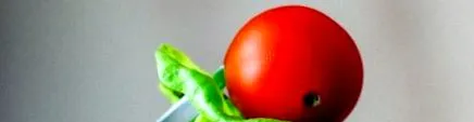 Dietele vegetariene
