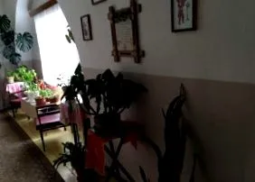 medicală medicală