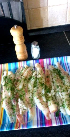 fotó recept gombával