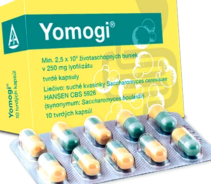 yomogi