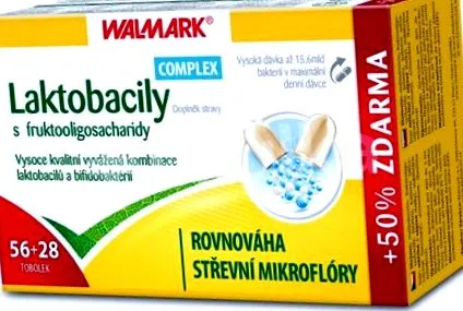 lactobacilli lactobacilli