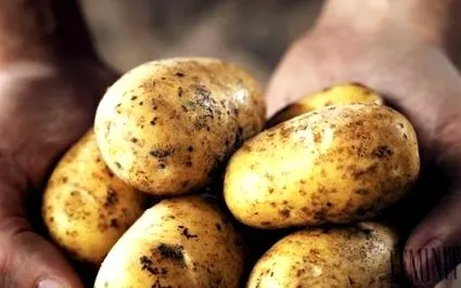 bună