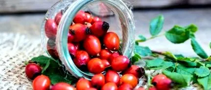fall nutrition