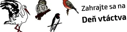bird joacă