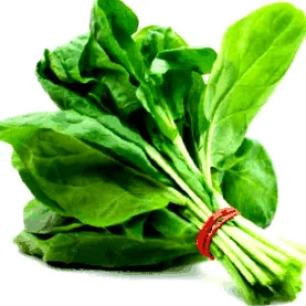 substanțe