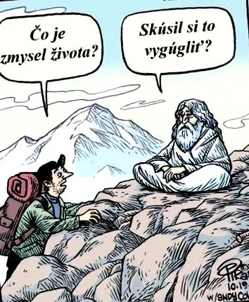 vieții sensul