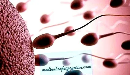 sperma sperma